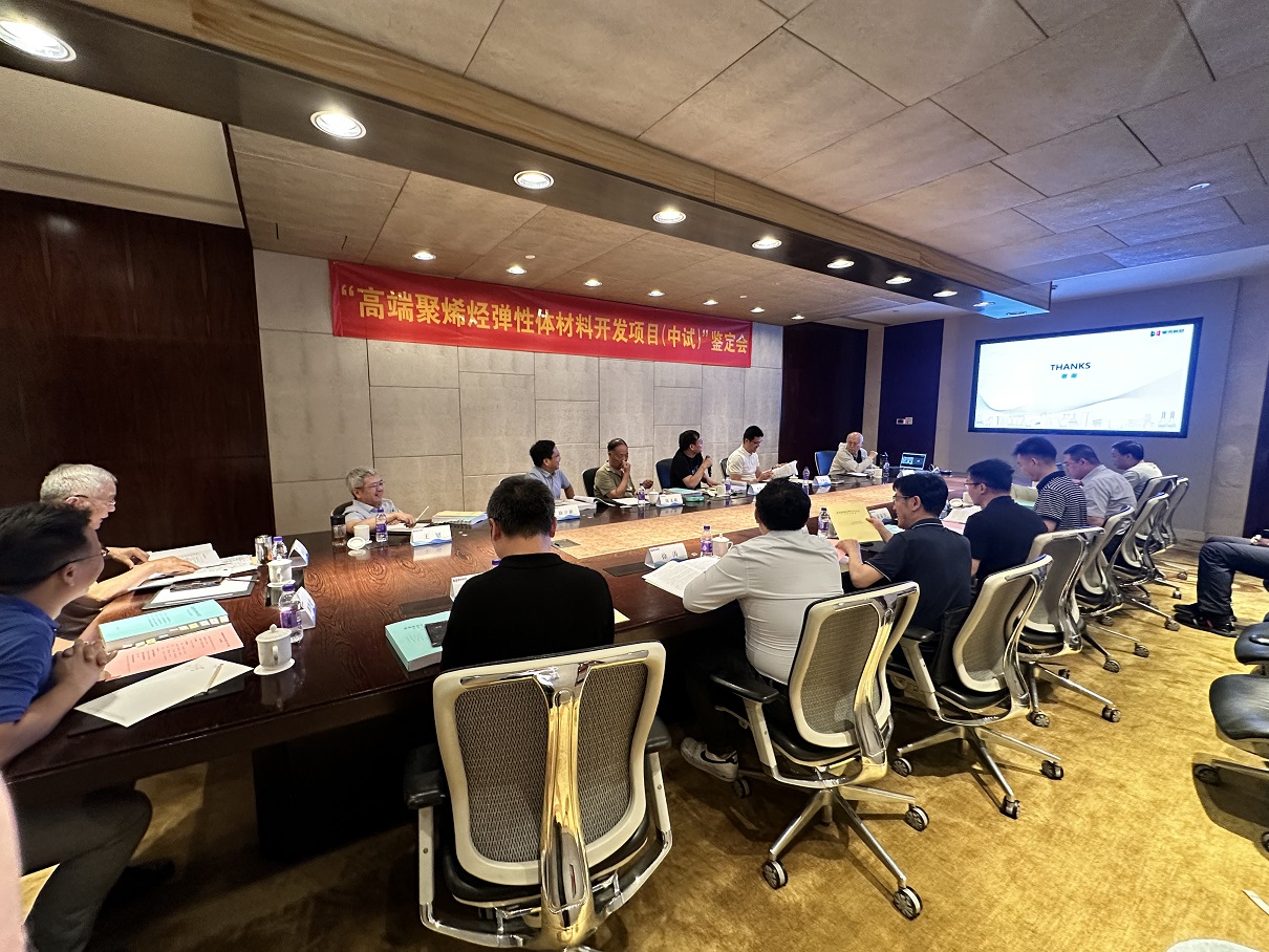 中試裝置專家鑒定會2(1)(1).jpg