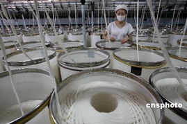 中國紡織業(yè)供應(yīng)鏈的轉(zhuǎn)型升級(jí) 從低端邁向高端